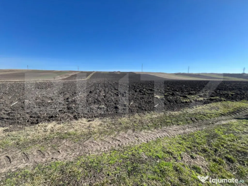 Teren de 26000mp cu potențial pentru investiții în Bonți