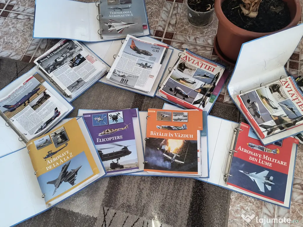 Ești iubitor sau colecționar.. 