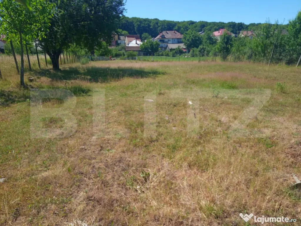 2000 MP TEREN INTRAVILAN IN ZONA VALEA GHINZII 