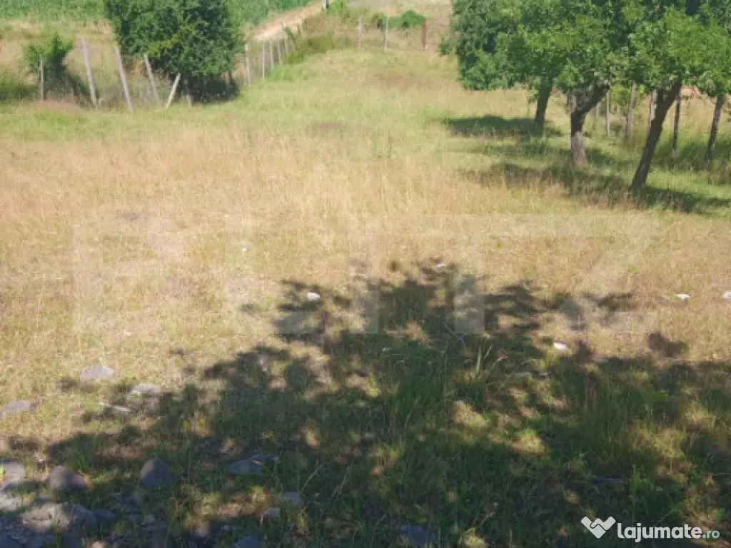 2000 MP TEREN INTRAVILAN IN ZONA VALEA GHINZII 