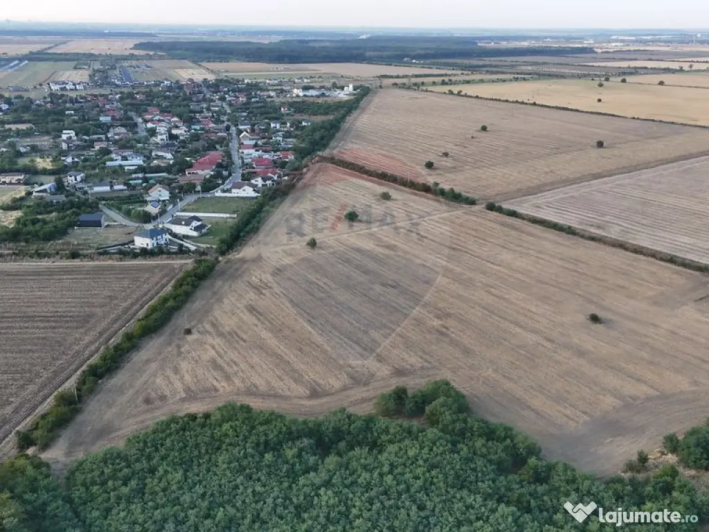 Teren investitie, intravilan Tamasi / Buftea 
