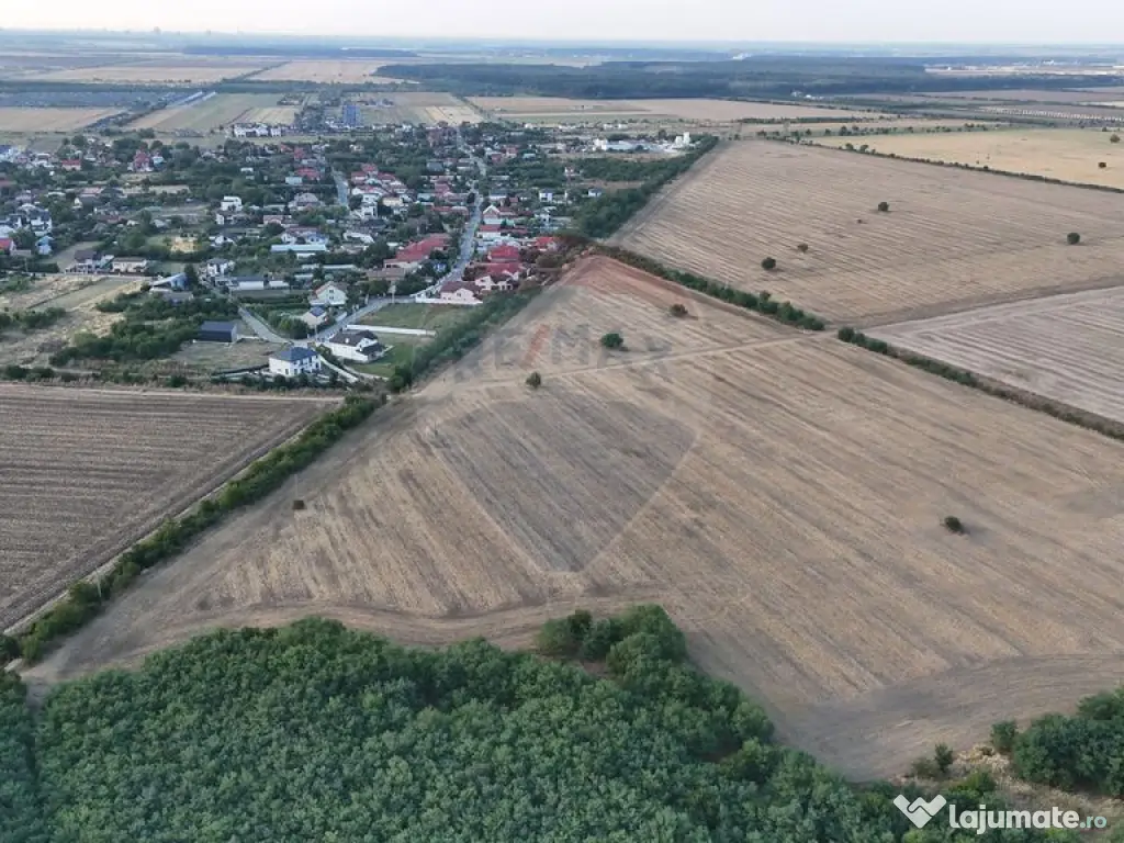 Teren investitie, intravilan Tamasi / Buftea 