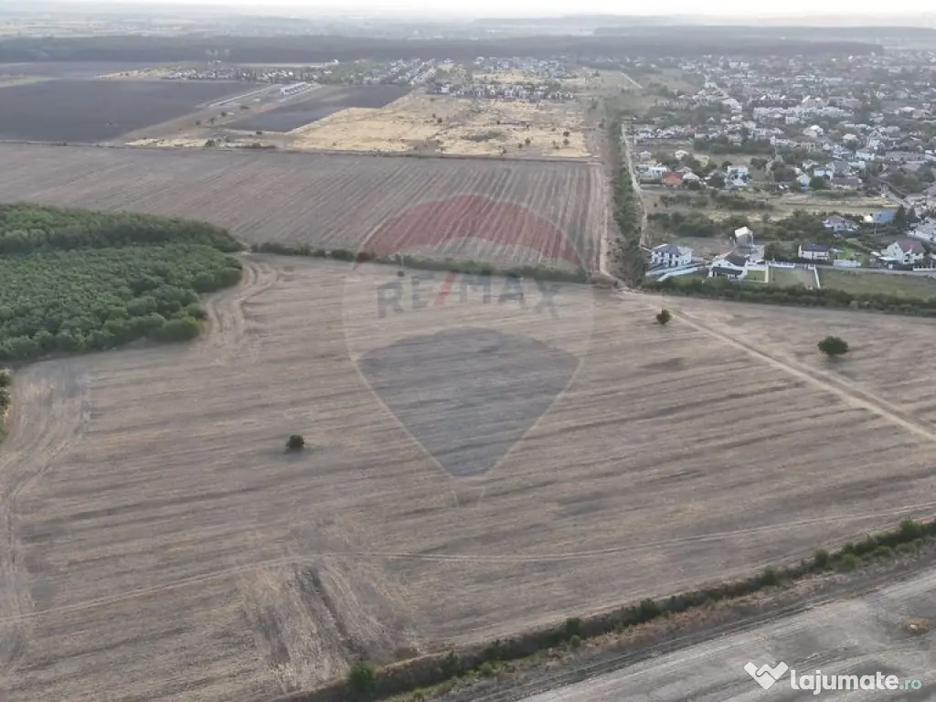 Teren investitie, intravilan Tamasi / Buftea 