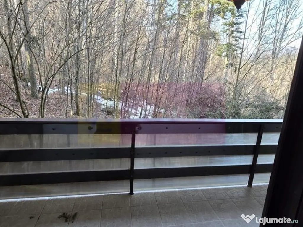 Apartamnet cu 2 camere de vanzare in Sinaia 