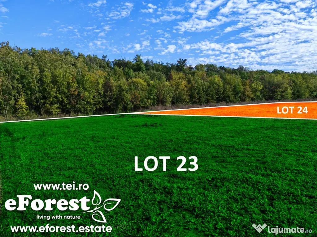 EForest, loturi teren de casă între 2 păduri, cu intrare din DN, 760mp 