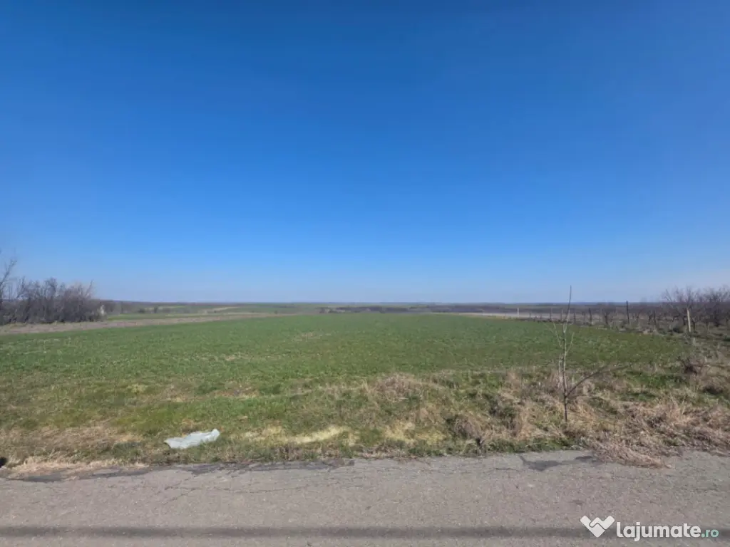 Teren 3800 mp Mischii sat Gogosesti