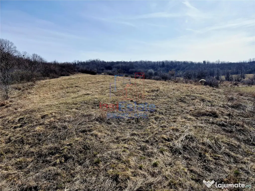 Teren cu vedere frumoasa 