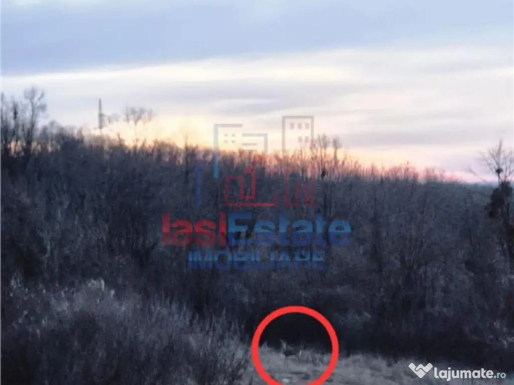 Teren cu vedere frumoasa 