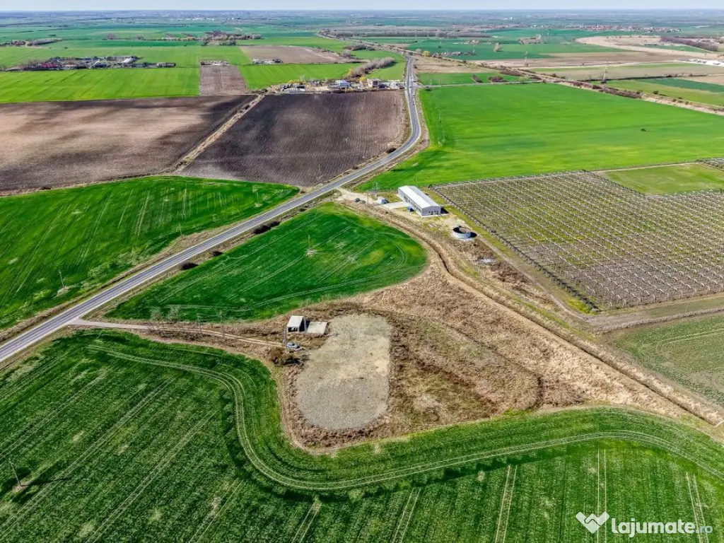 ???? Oportunitate Investiție! Teren Intravilan zona serv... 