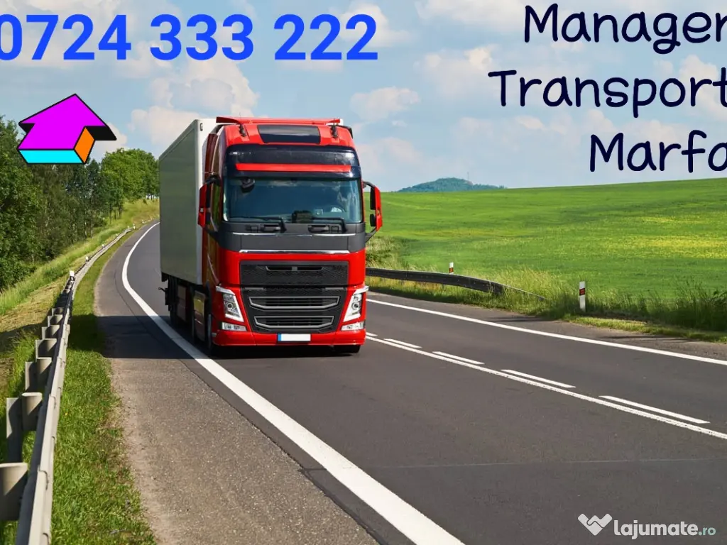 Manager transport marfa 
