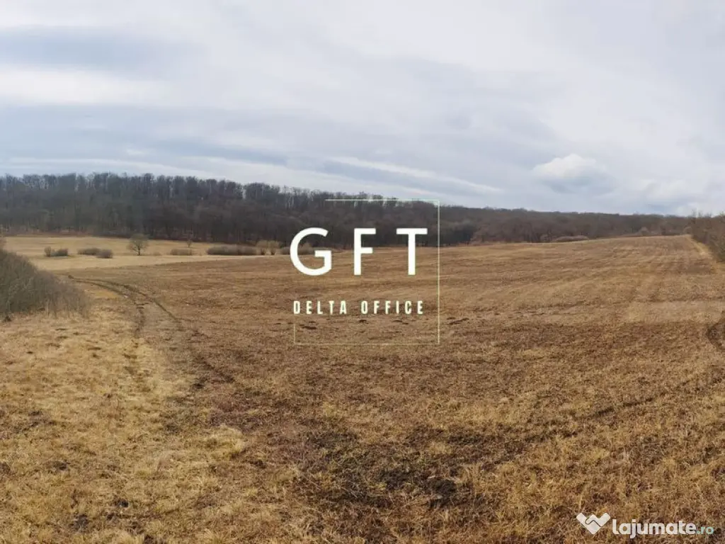 Teren extravilan , zona Valea Castailor - investitie prof... 