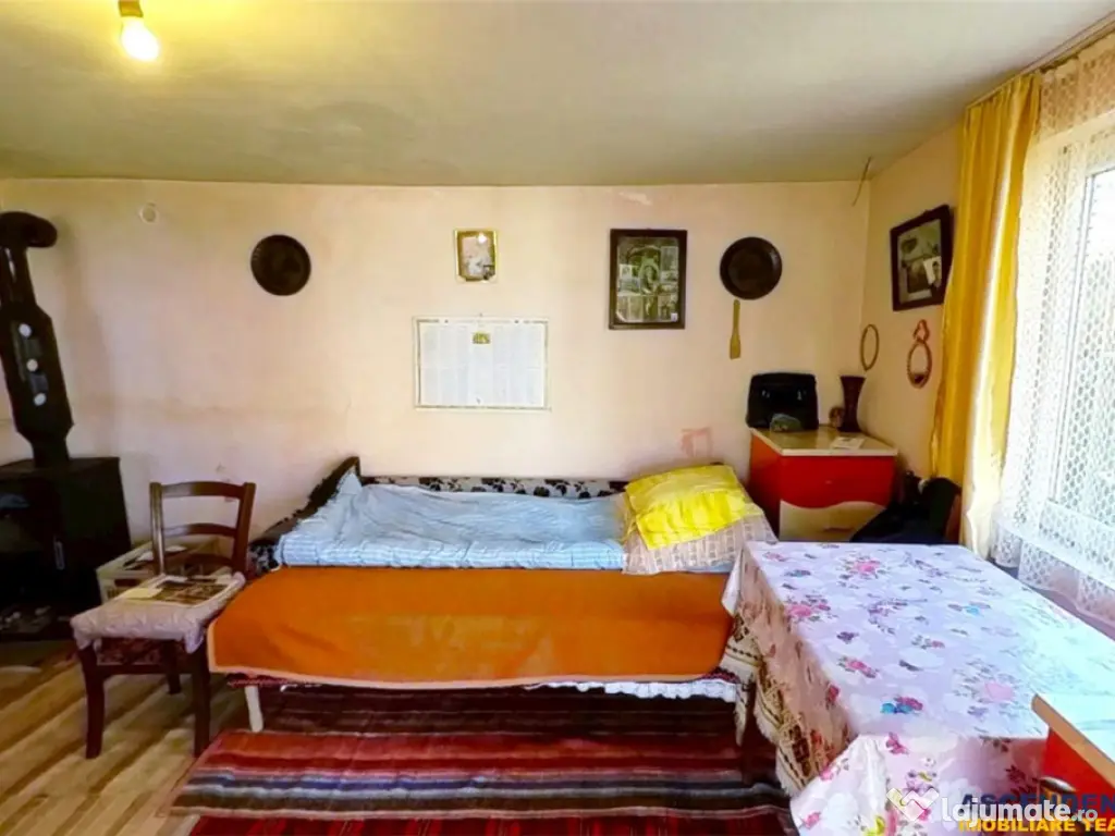 TUR 3D! Locuinta traditionala 4300 mp teren,pomicultura,an 