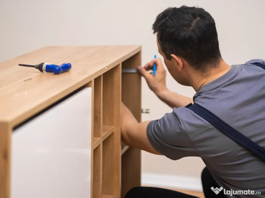 Montaj Mobila si Electrocasnice. Atelierul Taticilor. In Bucuresti. 