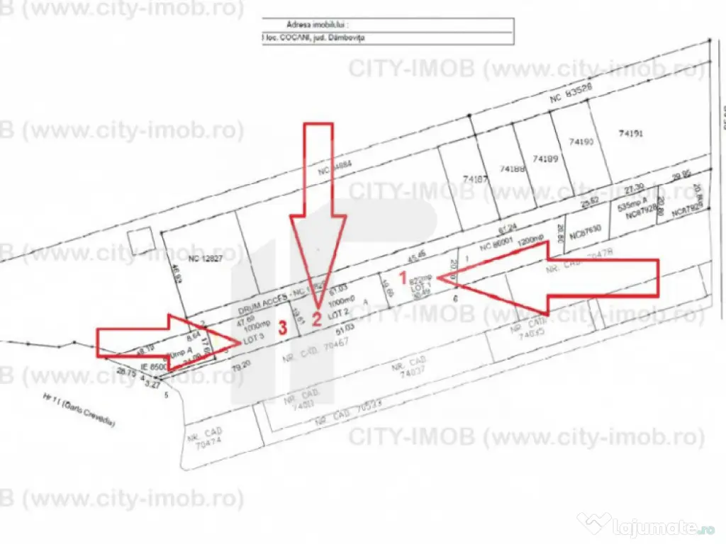 Refugiu la marginea padurii — 2822 mp de liniste in Cocani 