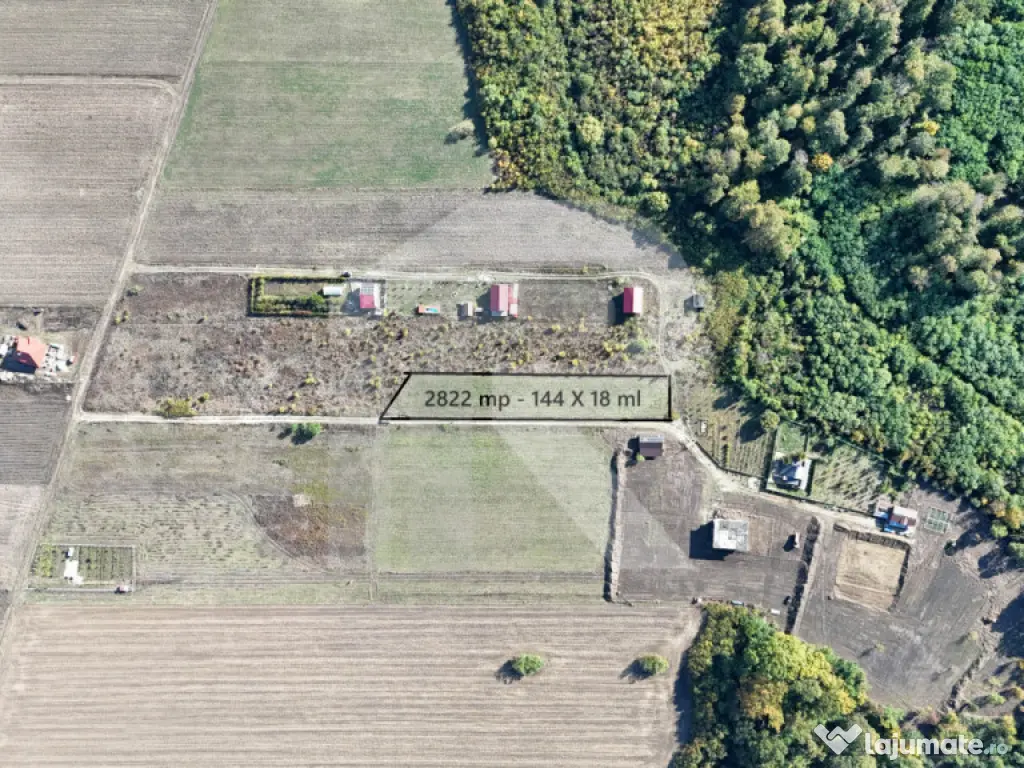 Refugiu la marginea padurii — 2822 mp de liniste in Cocani 