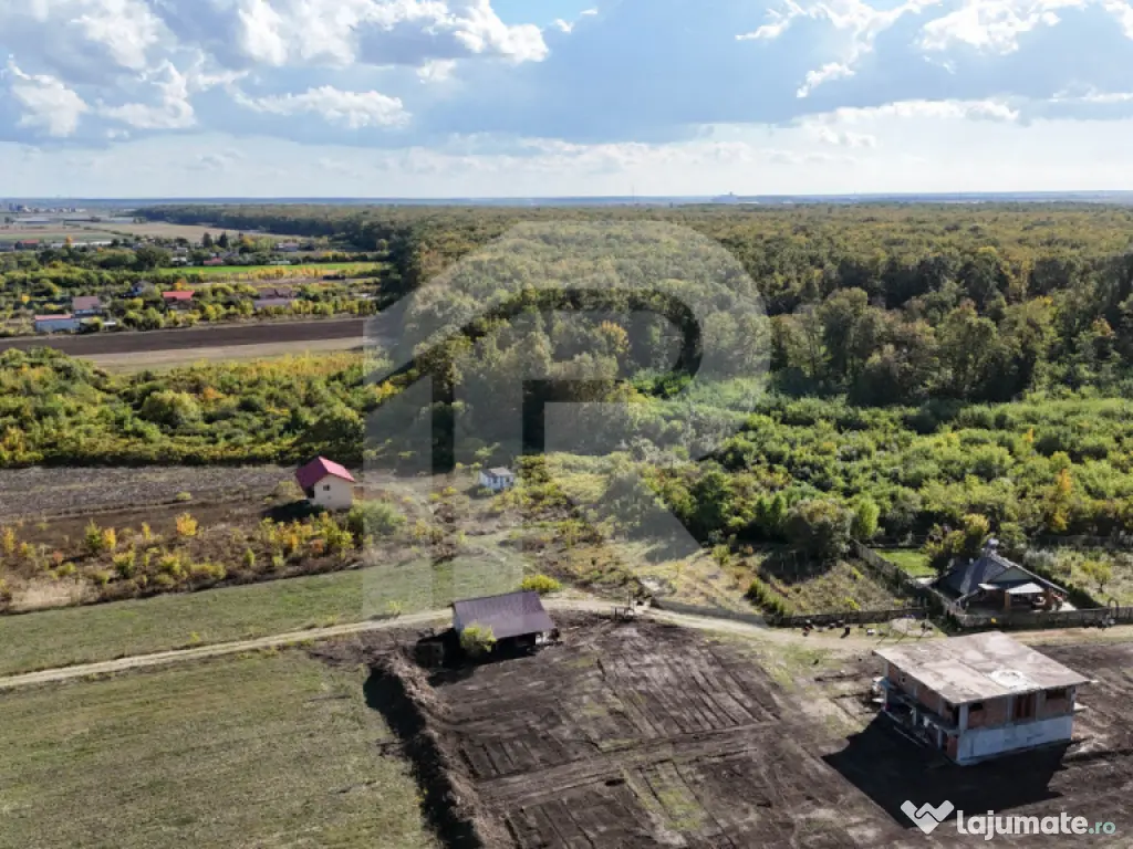 Refugiu la marginea padurii — 2822 mp de liniste in Cocani 