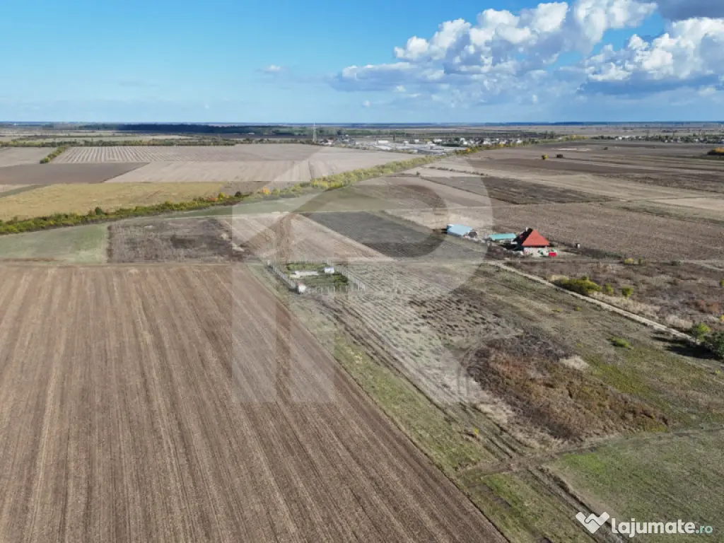 Refugiu la marginea padurii — 2822 mp de liniste in Cocani 