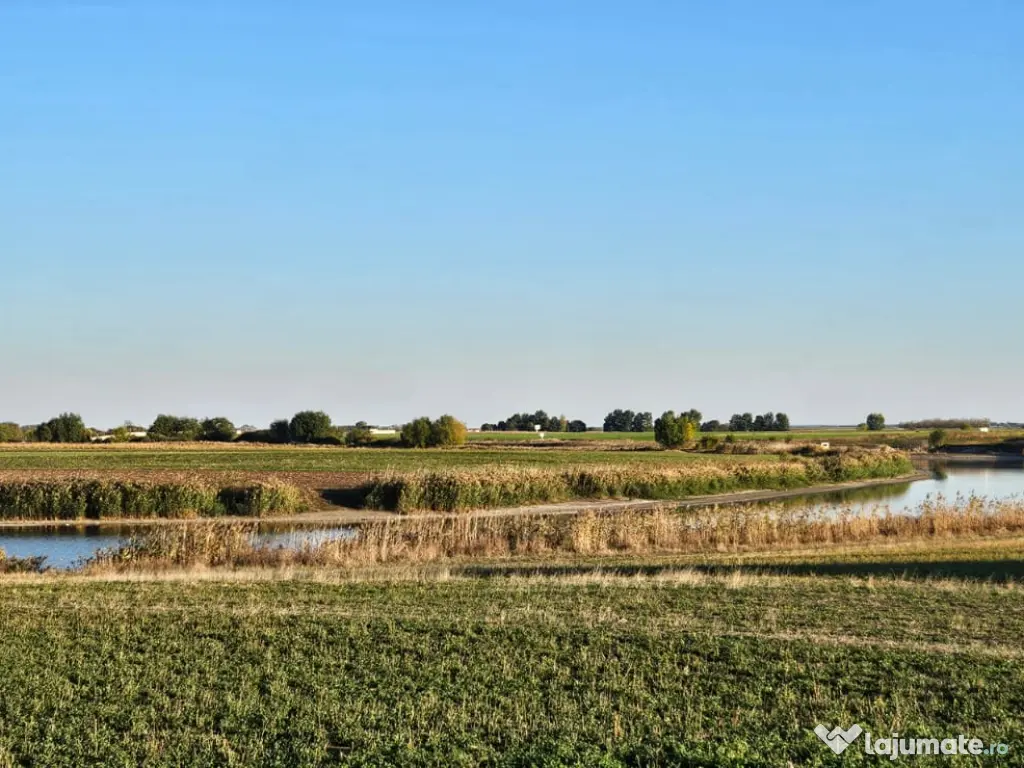Vând teren Vidra-Ilfov 