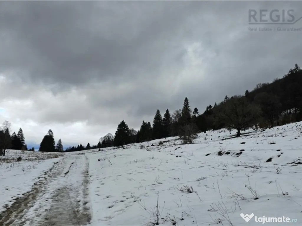 Teren superb extravilan in apropiere de Poiana Brasov