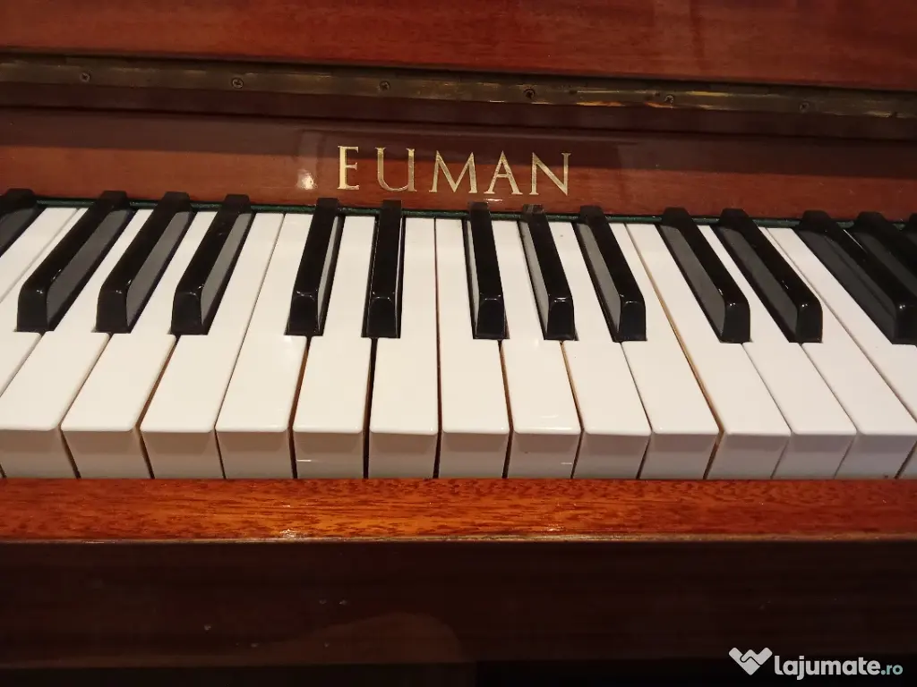 Pian foarte bine întreținut 