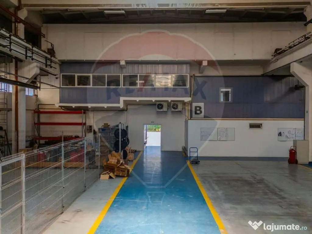 2 tronsoane hala |2 poduri rulante 10/18 T, Parcare, Prod... 