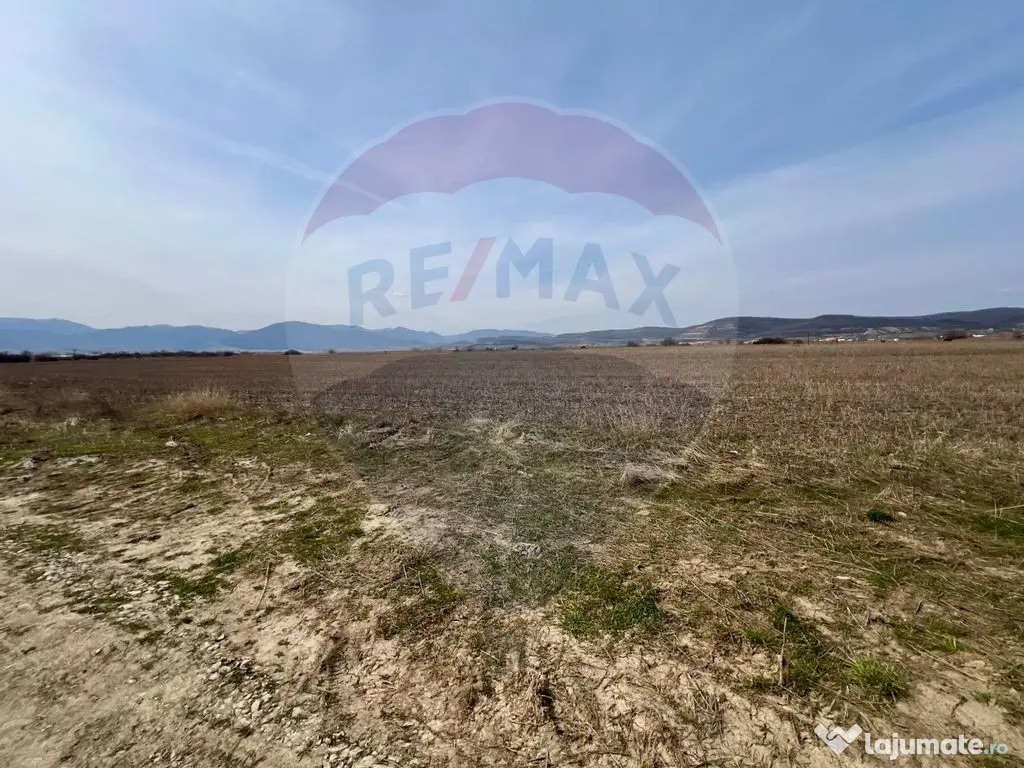 Teren de vanzare!