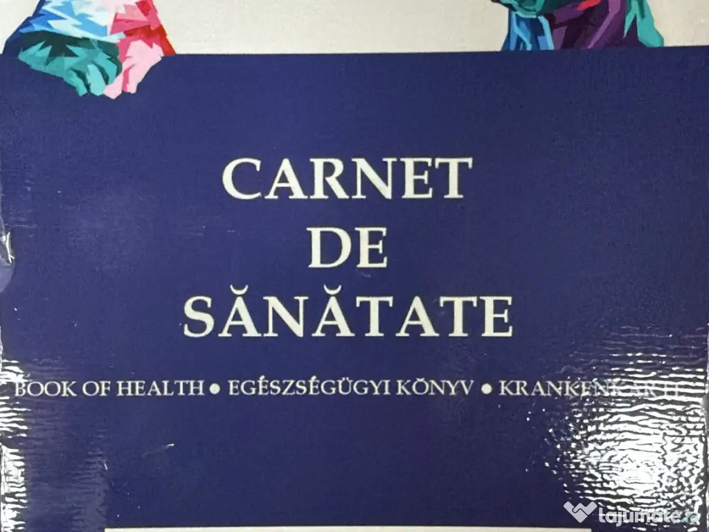 Pui Bichon Maltez – Femelă, 2 luni, microcipată și vaccinată