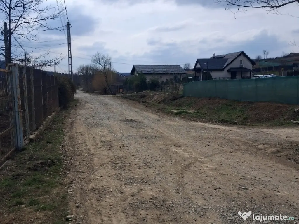 Teren intravilan Dorobanti 