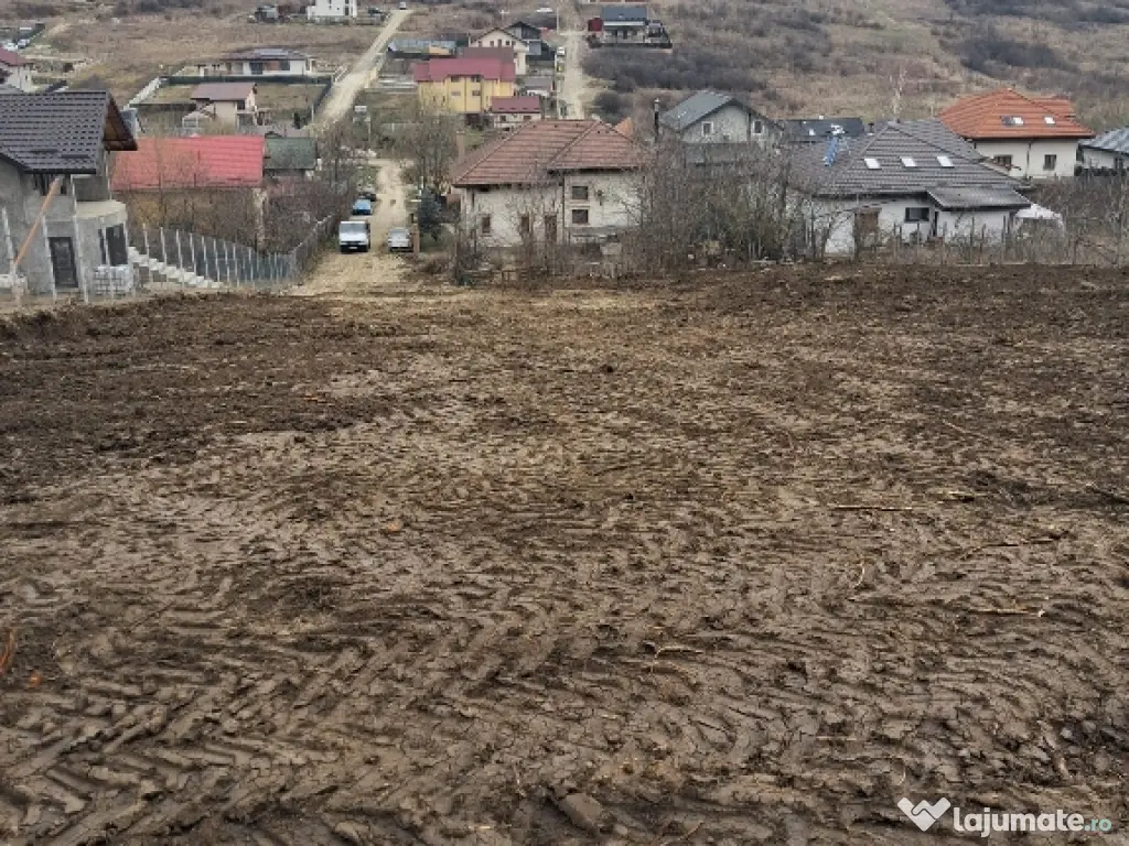 Teren intravilan Dorobanti 