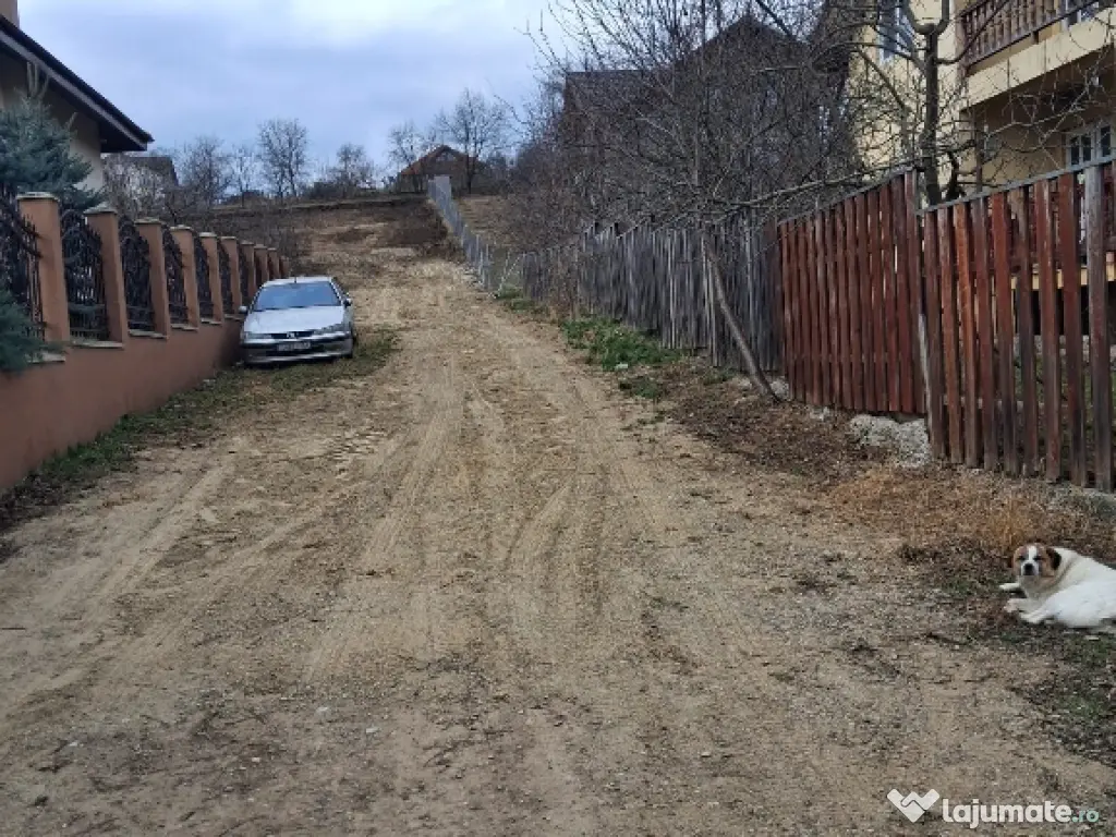 Teren intravilan Dorobanti 