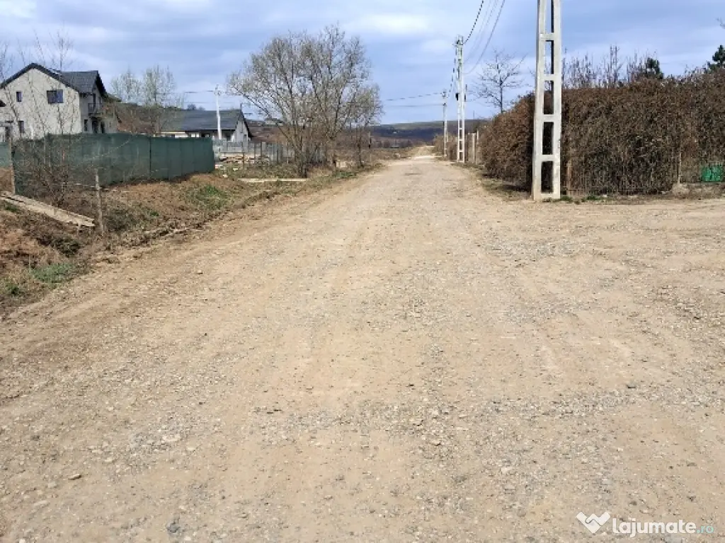 Teren intravilan Dorobanti 