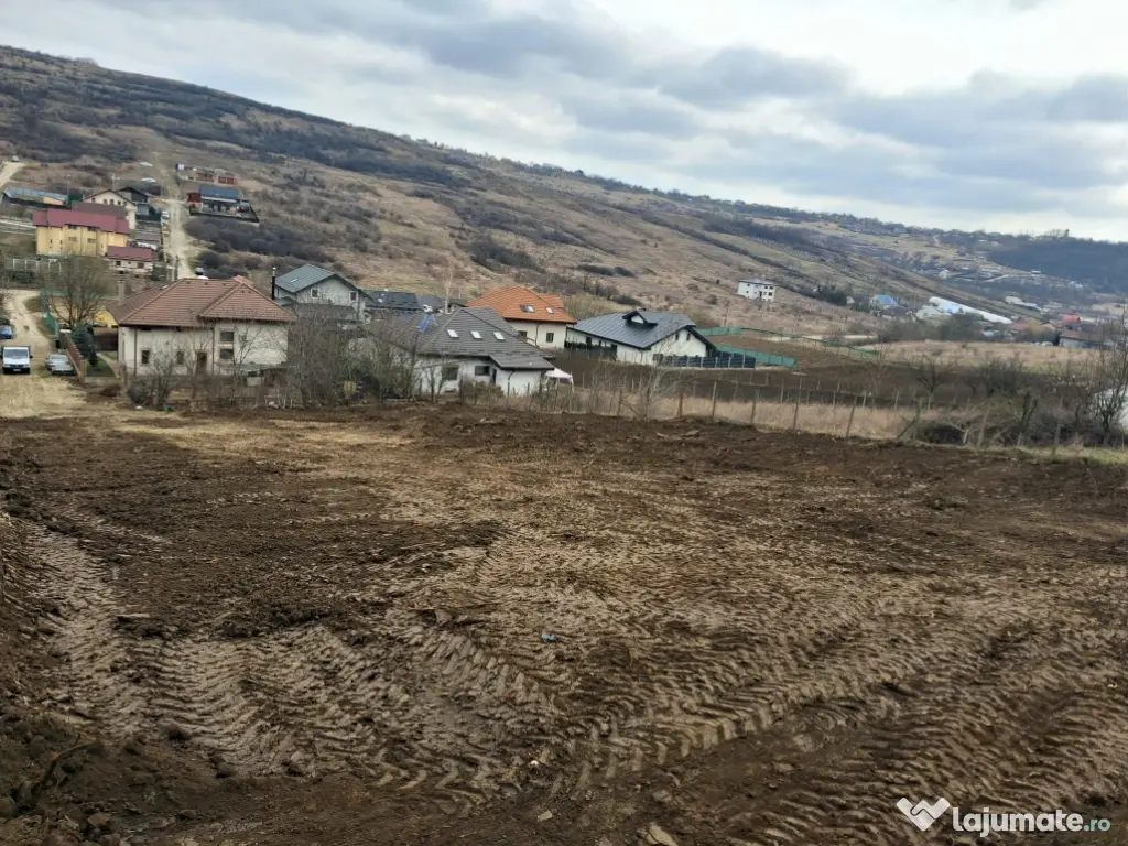 Teren intravilan Dorobanti 