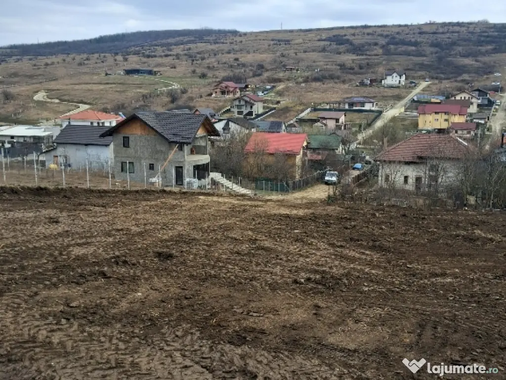 Teren intravilan Dorobanti 