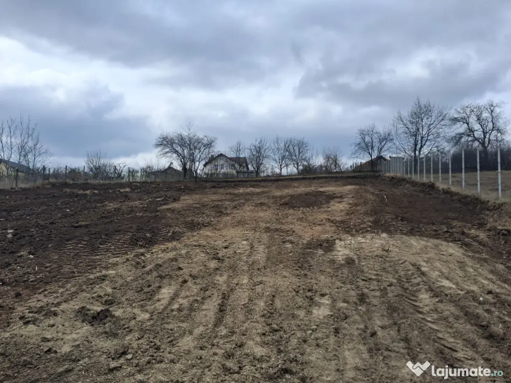 Teren intravilan Dorobanti 