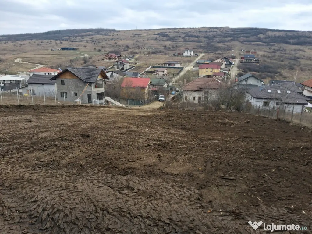 Teren intravilan Dorobanti 