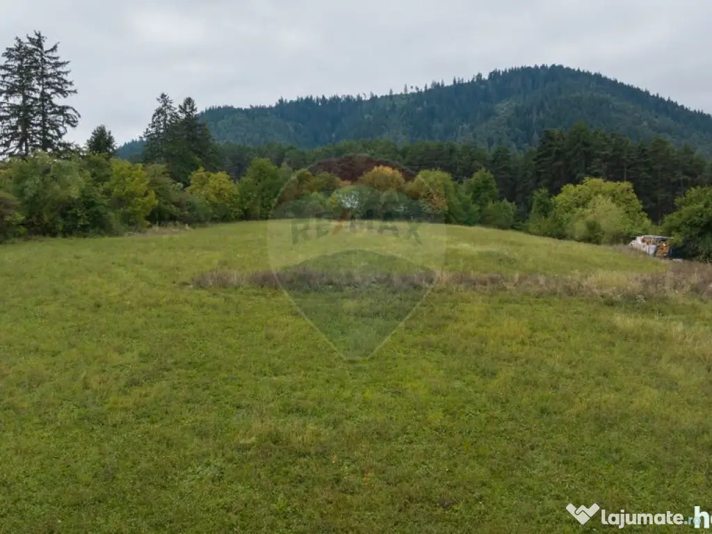 Proiect autorizat (AC) pentru constructia a 6 vile indivi... 