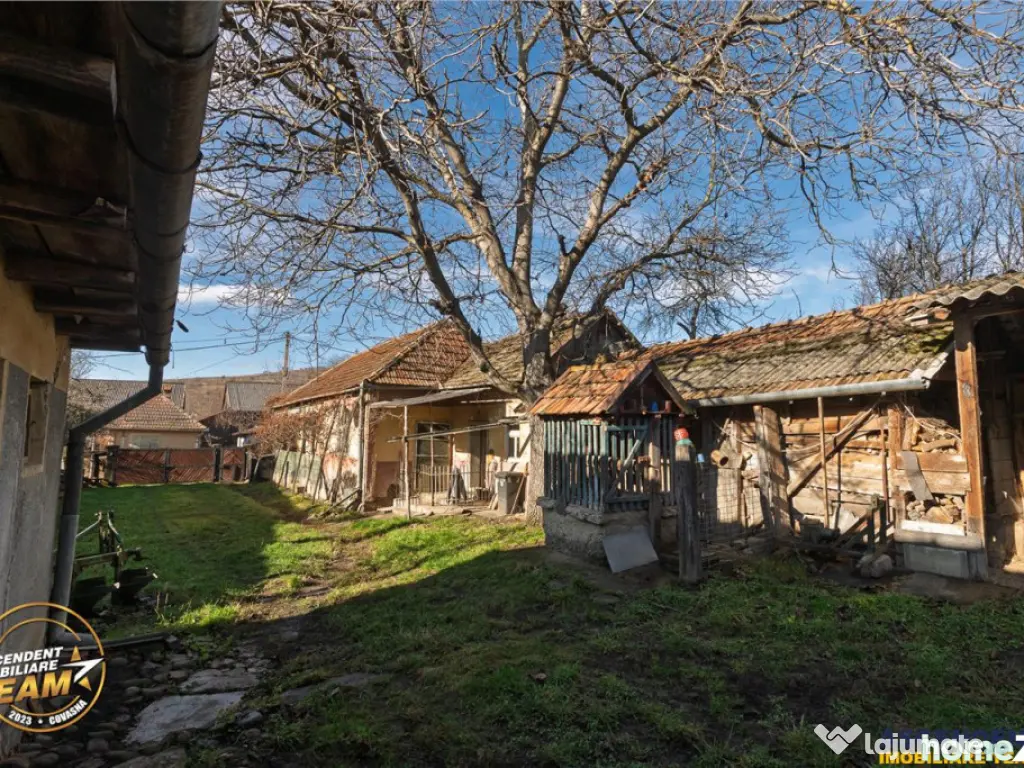 FILM! Casa si anexe, pe domeniu de 6.221mp, livada pomi fru 