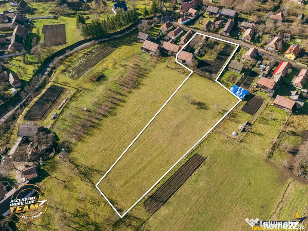 FILM! Casa si anexe, pe domeniu de 6.221mp, livada pomi fru 