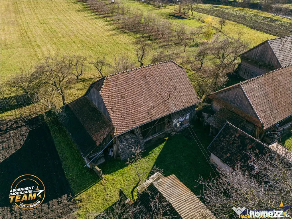 FILM! Casa si anexe, pe domeniu de 6.221mp, livada pomi fru 