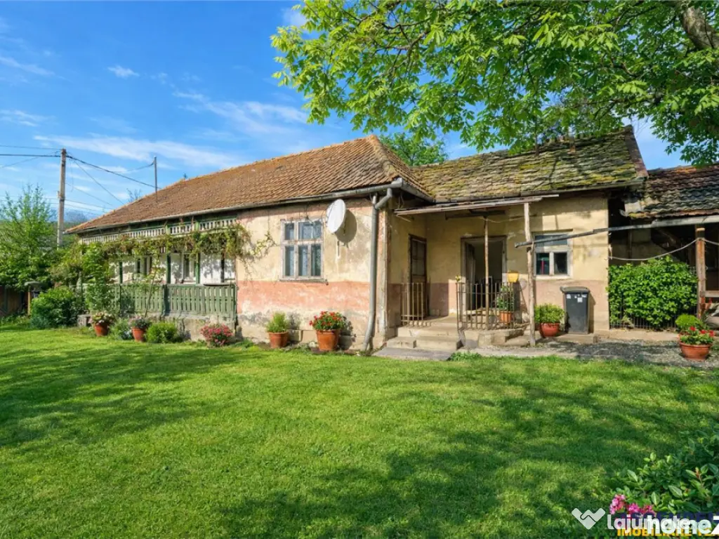 FILM! Casa si anexe, pe domeniu de 6.221mp, livada pomi fru 