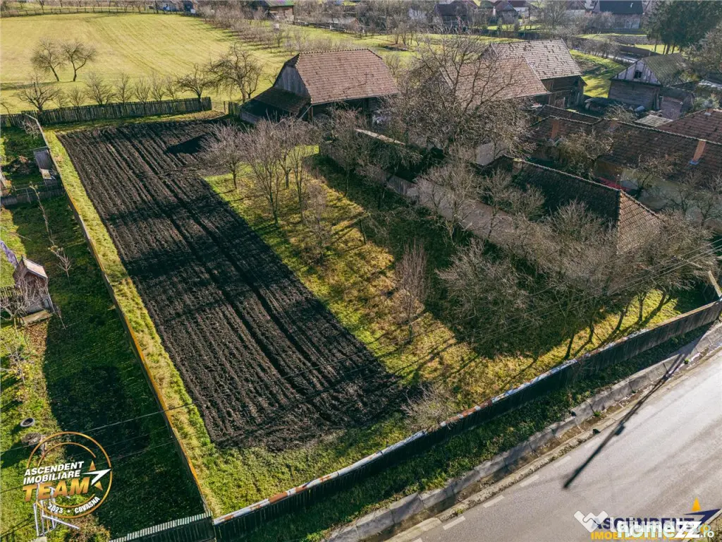 FILM! Casa si anexe, pe domeniu de 6.221mp, livada pomi fru 