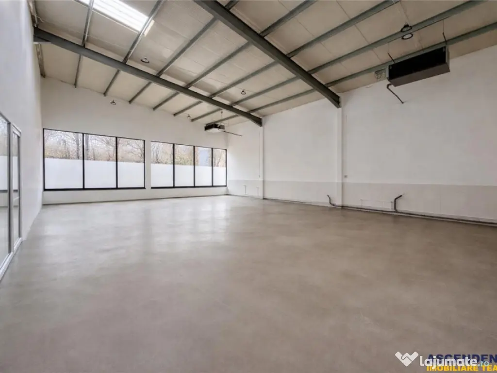 Hala productie premium pachet afacere, domeniu de 4.700 mp t 