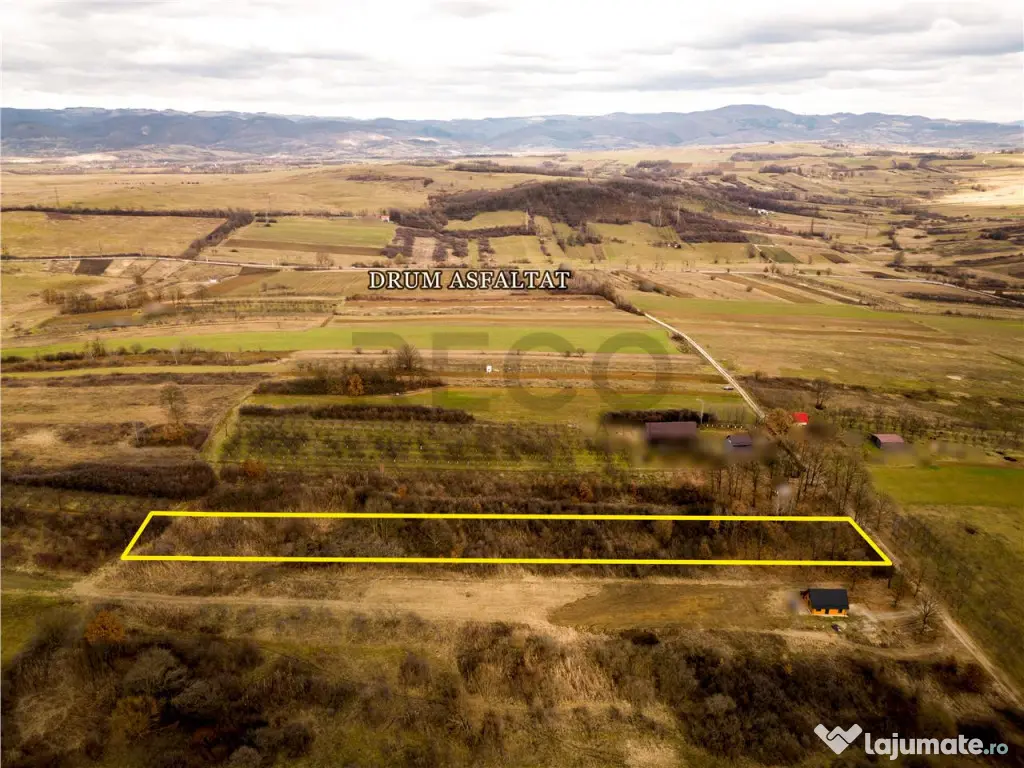 RECO Teren intravilan Zona Vadu Crisului Bihor