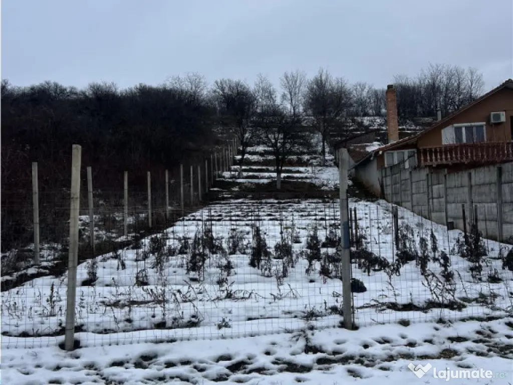 RECO teren intravilan Oradea 