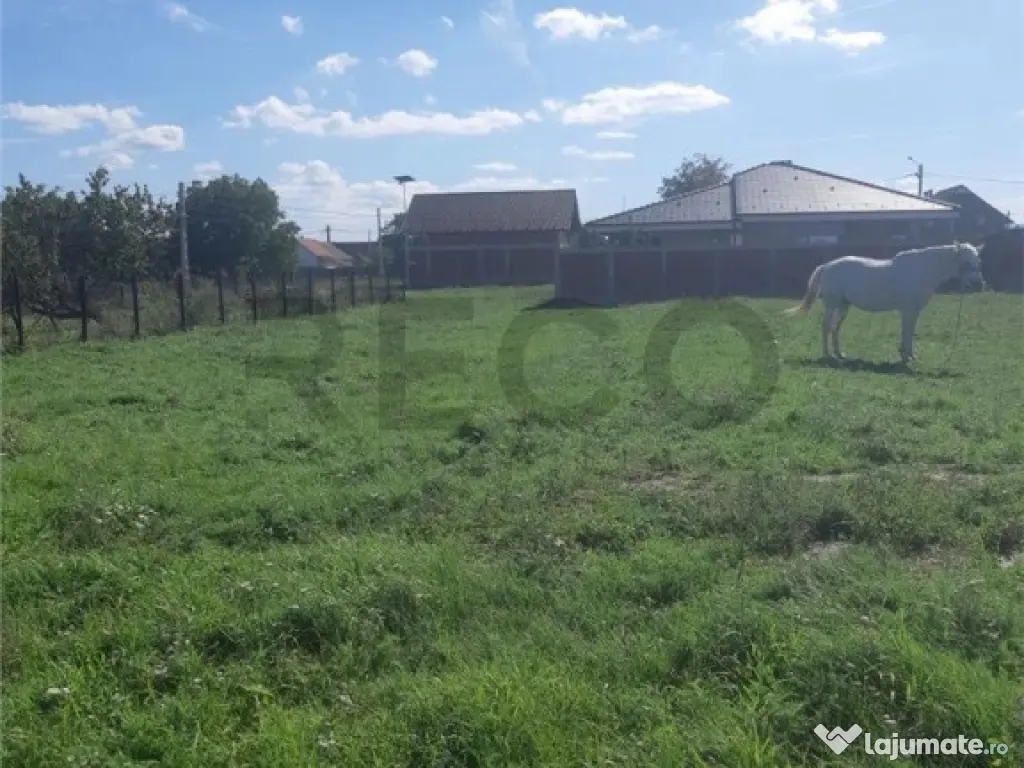 RECO Teren intravilan Marghita 