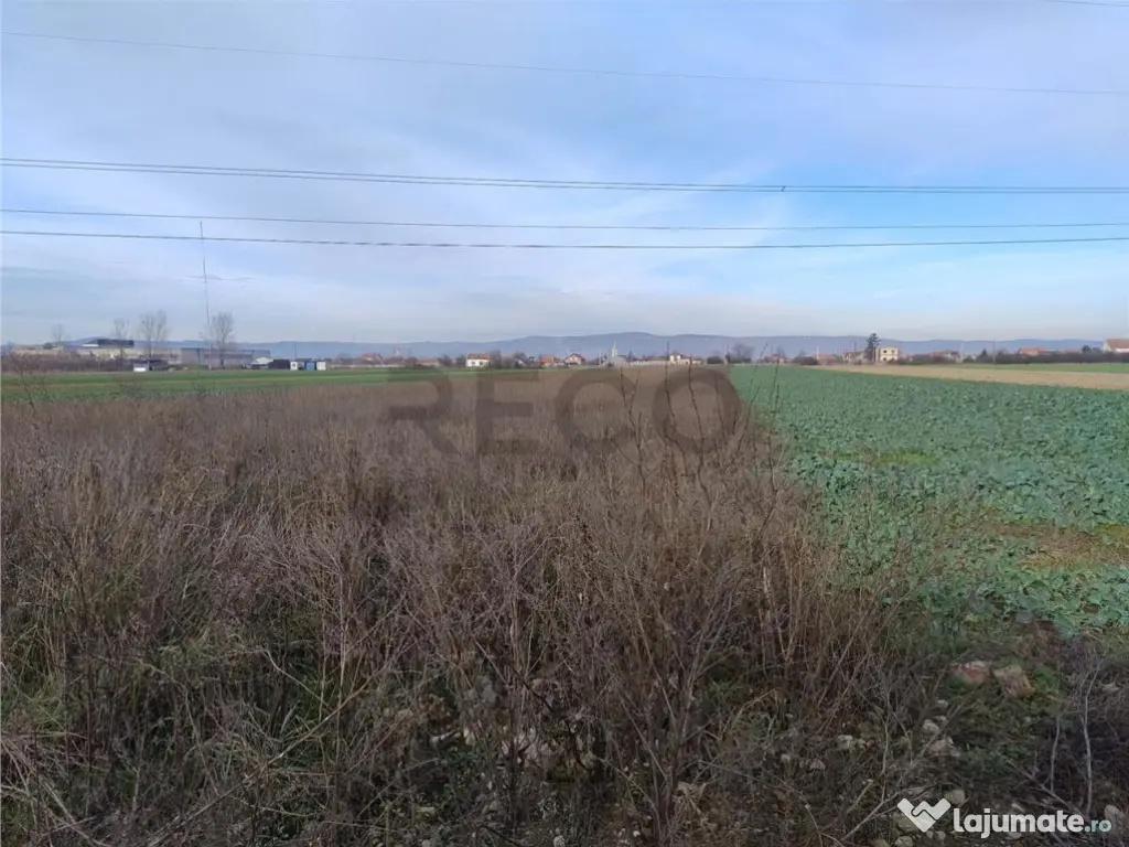 RECO Teren intravilan in Osorhei 5500mp dublu front 