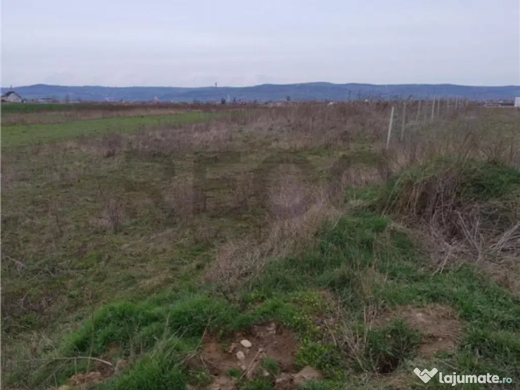 RECO Teren intravilan, Livada de Bihor 