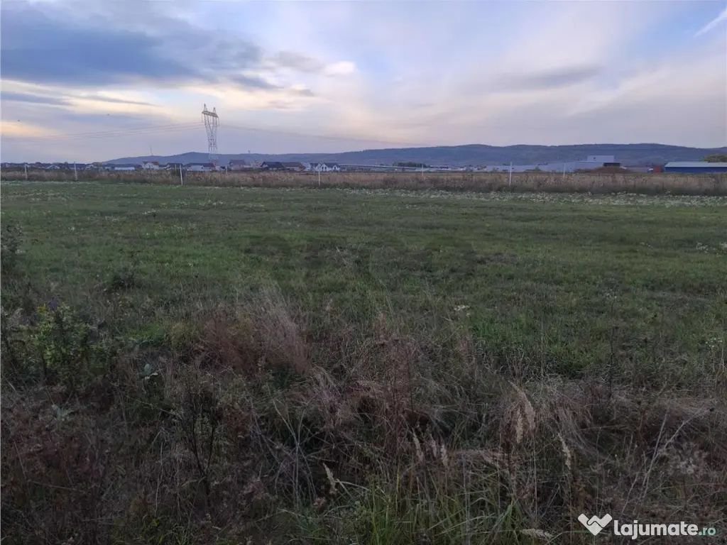 RECO Teren intravilan, Livada de Bihor 