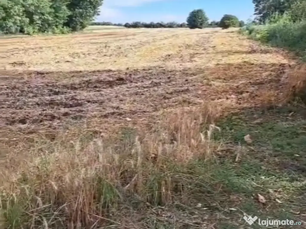 Teren intravilan 1700mp 