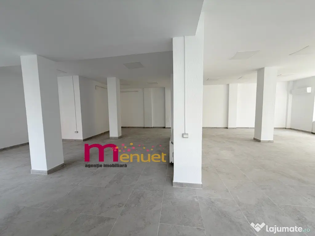 Spatiu comercial,str.Babadag,184 mp 